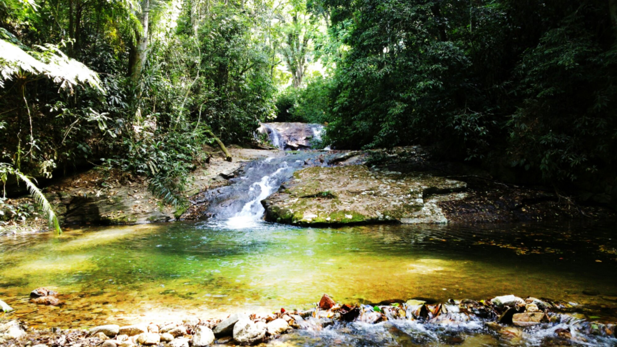 cachoeira no parque nacional da tijuca
